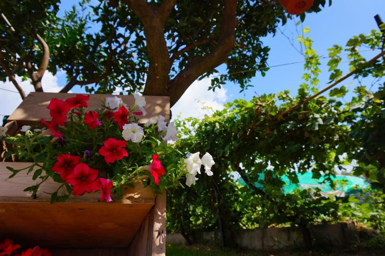 B&B Villa Del Sole Gizzeria Exterior foto